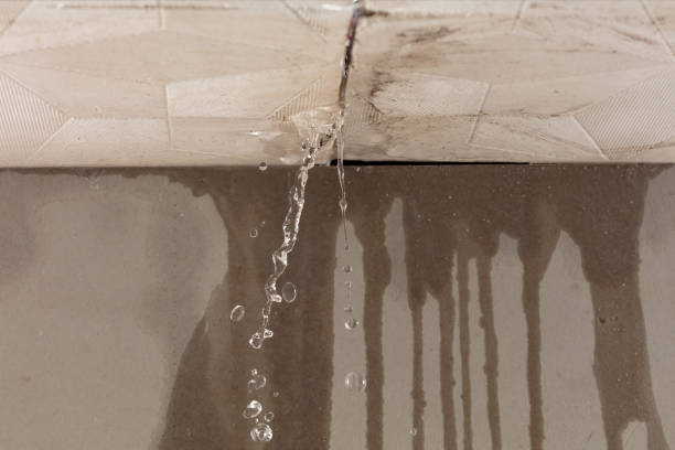 Professional Water Damage Repair technician working in Lyons, TX